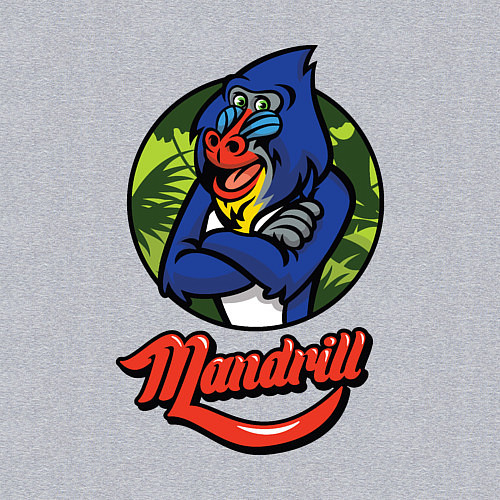 Мужской свитшот Mandrill / Меланж – фото 3