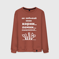 Свитшот хлопковый мужской Не забывай свои корни - подкрашивай, цвет: кирпичный