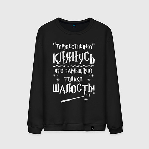 Мужской свитшот Замышляю только шалость / Черный – фото 1