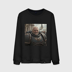 Свитшот хлопковый мужской Гарольд скрывающий Warhammer, цвет: черный