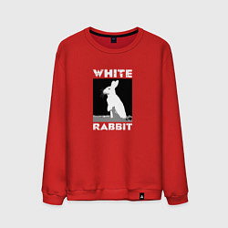 Свитшот хлопковый мужской White rabbit, цвет: красный