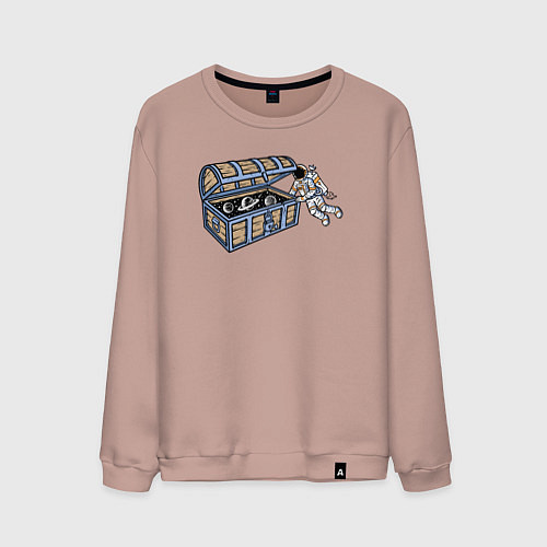 Мужской свитшот Космический сундук / Пыльно-розовый – фото 1
