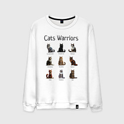 Свитшот хлопковый мужской Коты воители, цвет: белый