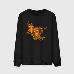 Свитшот хлопковый мужской Омск, цвет: черный