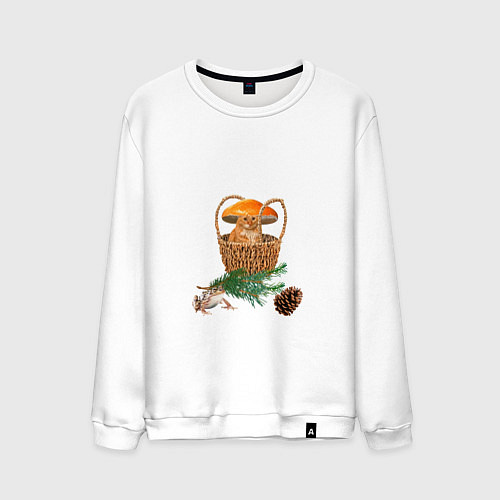 Мужской свитшот Лесное приключение / Белый – фото 1