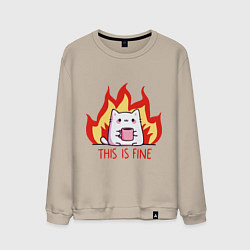 Свитшот хлопковый мужской Cat - this is fine, цвет: миндальный