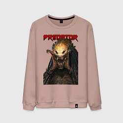 Свитшот хлопковый мужской Predator scream, цвет: пыльно-розовый