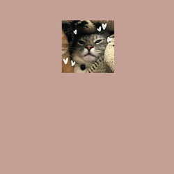 Свитшот хлопковый мужской Серая кошка для пары, цвет: пыльно-розовый — фото 2