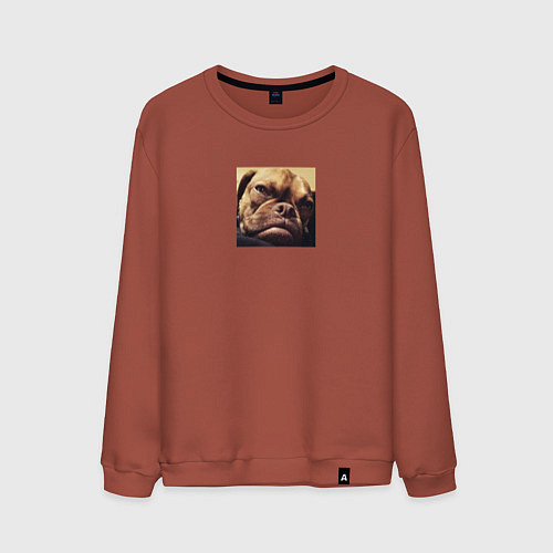 Мужской свитшот Сердитый Песик / Кирпичный – фото 1