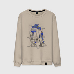 Мужской свитшот R2-D2