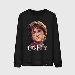 Мужской свитшот Harry Potter wizard