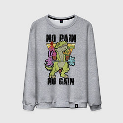 Свитшот хлопковый мужской T Rex GYM - no pain no gain, цвет: меланж