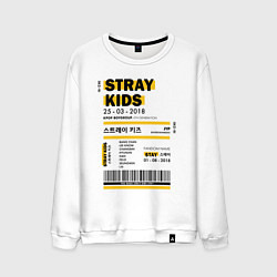 Мужской свитшот Stray kids ticket