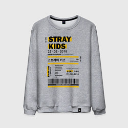 Свитшот хлопковый мужской Stray kids ticket, цвет: меланж