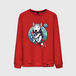 Свитшот хлопковый мужской Щенок бультерьера на ракете в космосе, цвет: красный