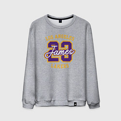 Свитшот хлопковый мужской Lebron James Lakers, цвет: меланж