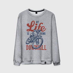 Свитшот хлопковый мужской My life is going downhill, цвет: меланж