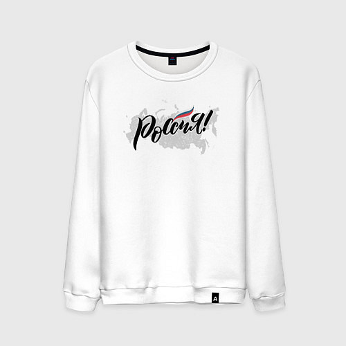 Мужской свитшот Россия с триколором / Белый – фото 1
