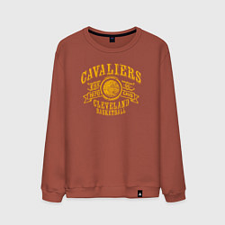 Мужской свитшот Cleveland basketball