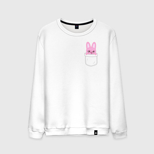 Мужской свитшот Dwaekki in pocket / Белый – фото 1