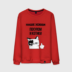 Свитшот хлопковый мужской Наше хобби котики мем, цвет: красный