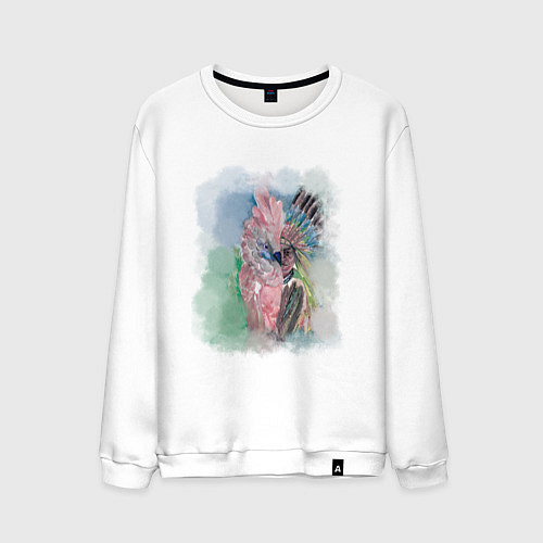 Мужской свитшот Почти исчезнувшие виды / Белый – фото 1