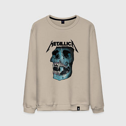 Мужской свитшот Metallica St Anger