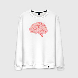 Свитшот хлопковый мужской Мозг иллюстрация, цвет: белый