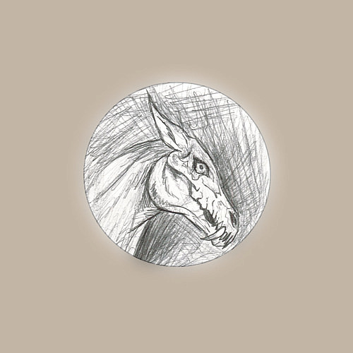 Мужской свитшот Черепа лошадей / Миндальный – фото 3