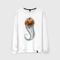 Мужской свитшот Дух тыквы