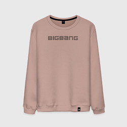 Мужской свитшот Bigbang