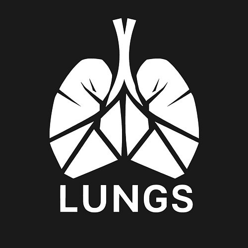 Мужской свитшот Легкие сигментарно / Черный – фото 3