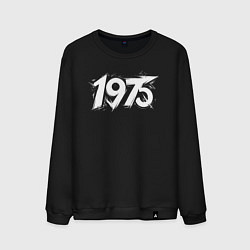 Мужской свитшот Динамичный 1975