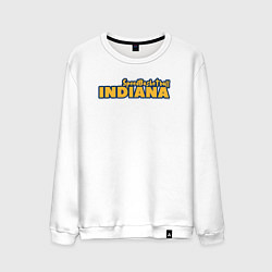 Мужской свитшот Speed basketball Indiana