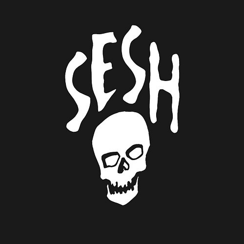 Мужской свитшот Team Sesh / Черный – фото 3