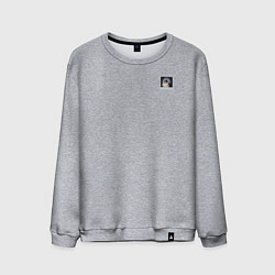 Свитшот хлопковый мужской Панк кот, цвет: меланж