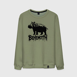 Мужской свитшот Бегемот в стиле граффити