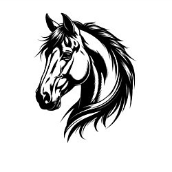 Свитшот хлопковый мужской Грациозная лошадь, цвет: белый — фото 2