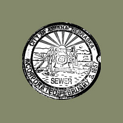 Свитшот хлопковый мужской Путешествие Небраска, цвет: авокадо — фото 2