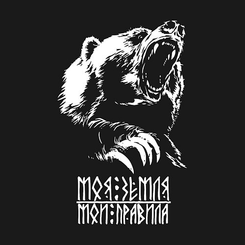 Мужской свитшот Моя земля мои правила -грозный медведь / Черный – фото 3