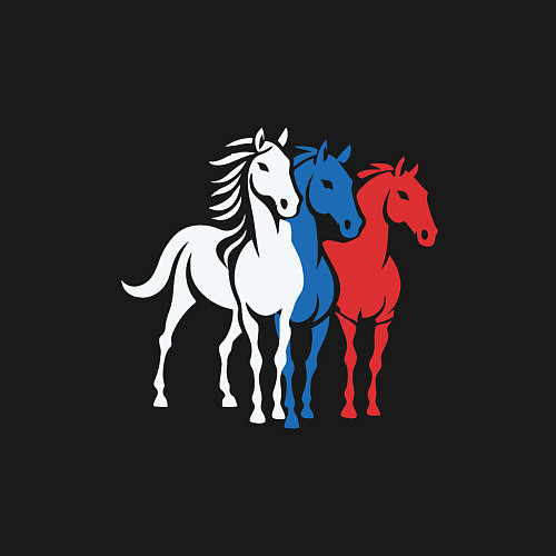 Мужской свитшот 3 коня / Черный – фото 3