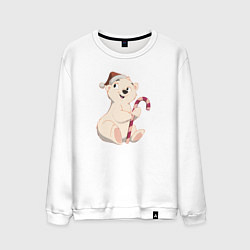 Мужской свитшот Медвежонок с конфетой
