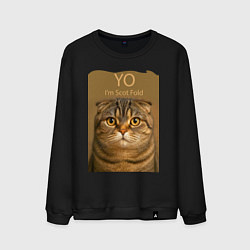Свитшот хлопковый мужской Yo - Im Scottish Fold, цвет: черный