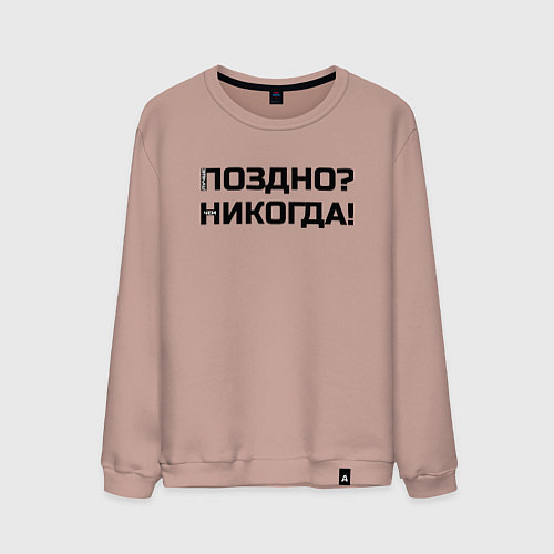 Мужской свитшот Лучше поздно чем никогда черный / Пыльно-розовый – фото 1