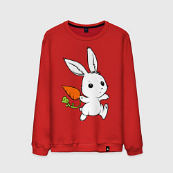 Свитшот хлопковый мужской Зайка с морковкой, цвет: красный