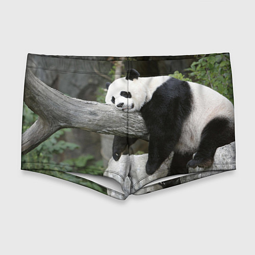 Мужские плавки Большая уставшая панда / 3D-принт – фото 1