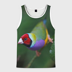 Майка-безрукавка мужская Яркая птичка попугай, цвет: 3D-белый