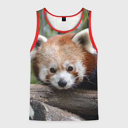 Майка-безрукавка мужская Красная панда, цвет: 3D-красный