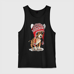 Майка мужская хлопок Чихуахуа в шапочке, цвет: черный