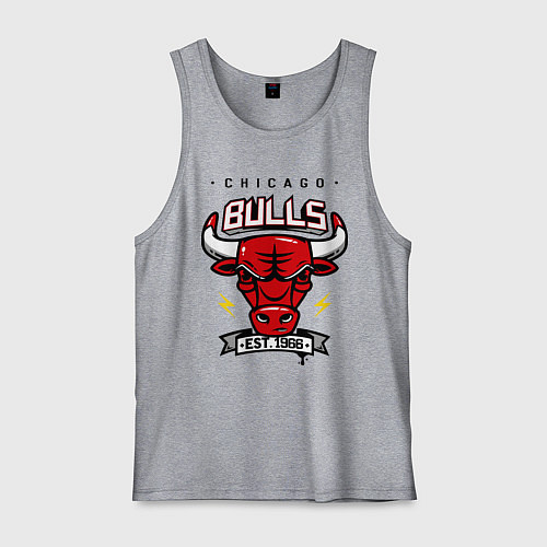 Мужская майка Chicago Bulls est. 1966 / Меланж – фото 1